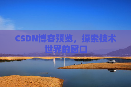 CSDN博客预览，探索技术世界的窗口